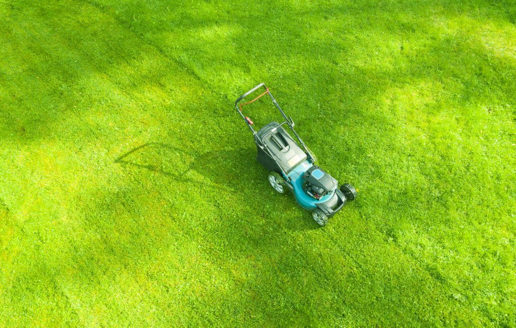 Cura del verde