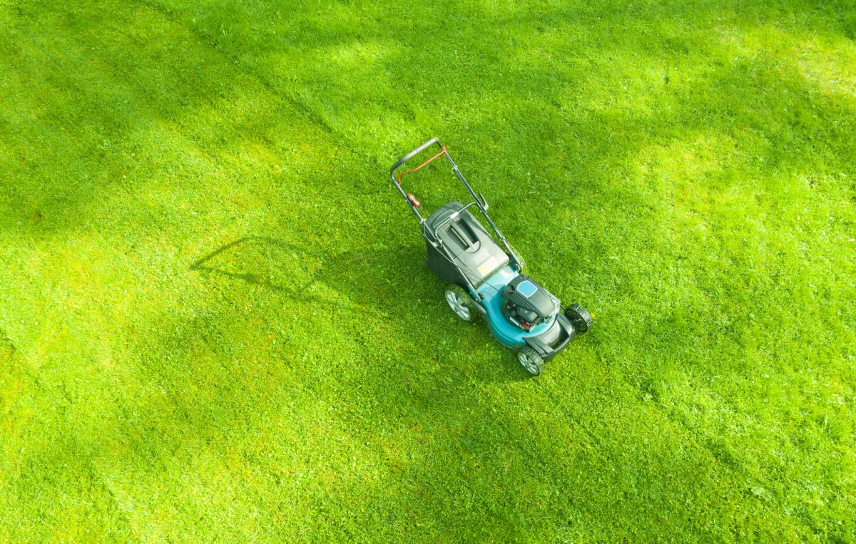 Cura del verde